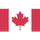 ca flag